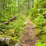 Monashee Provincial Park photo