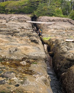 West Coast Trail photo