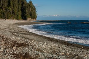 West Coast Trail photo