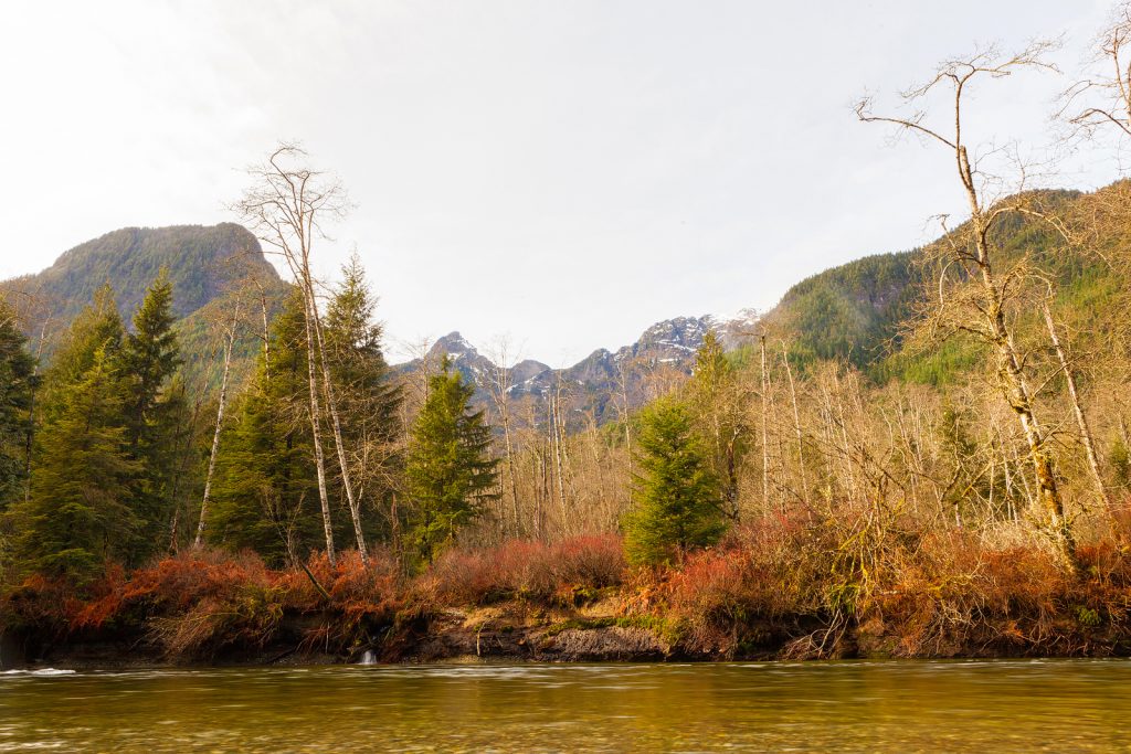 Golden Ears park photograph