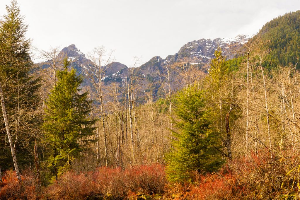 Golden Ears park photograph