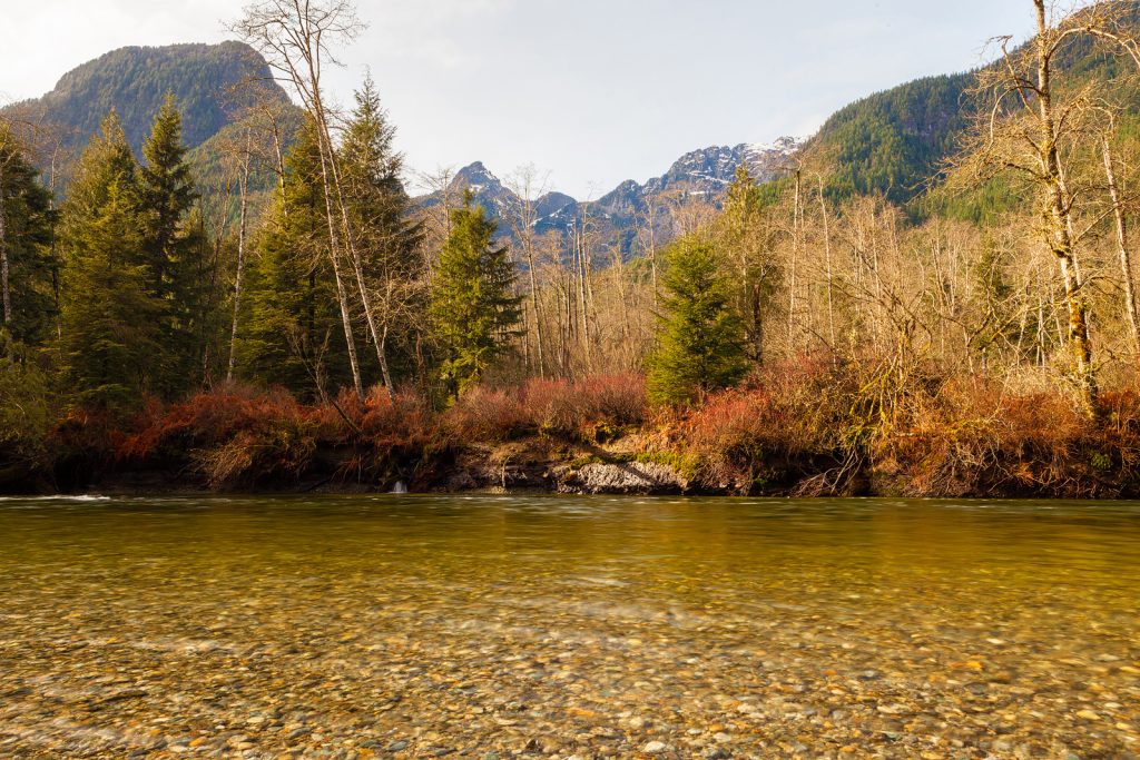 Golden Ears park photograph