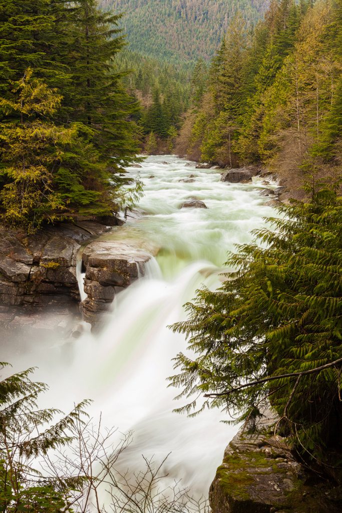 Golden Ears park photograph